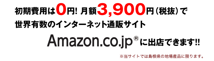 初期費用は0円! 月額3,900円（税抜）で世界有数のインターネット通販サイトに出店できます！！